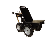 Accessory Series, Flat Bed , Power Lift , Ball Hitch , Snow Plough , Extension Sides